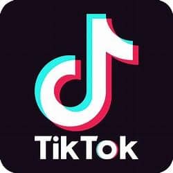Tips for Getting Started on TikTok as a Local Business